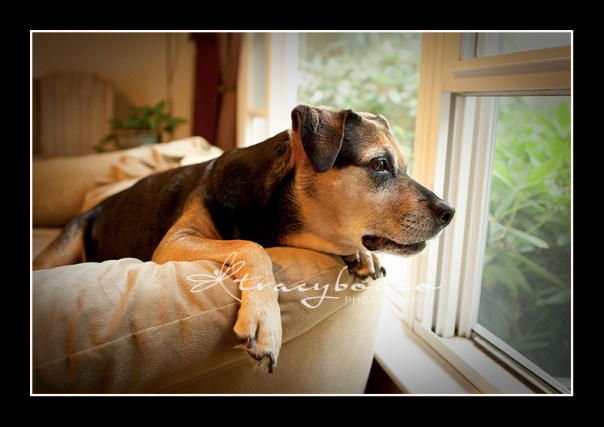 Faye-054-LookingOut-tbp