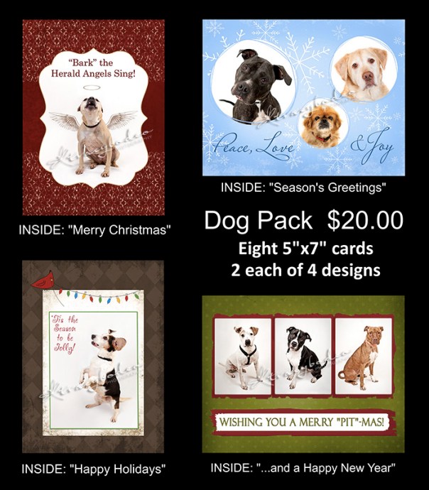 CAHWcardsDogPack2011-F-web-tbp