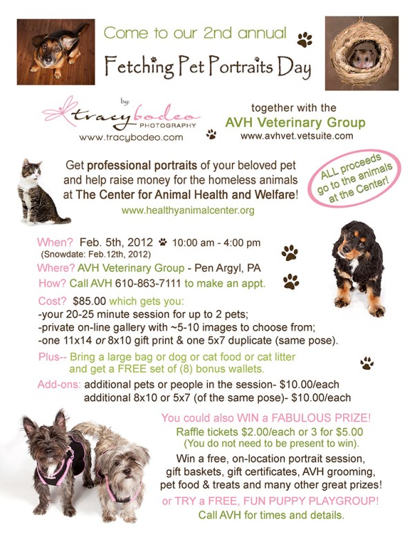 CharityBrochure2012-811-web