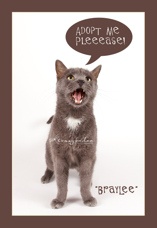 BrayLee-CAHW-tbp-fr copy